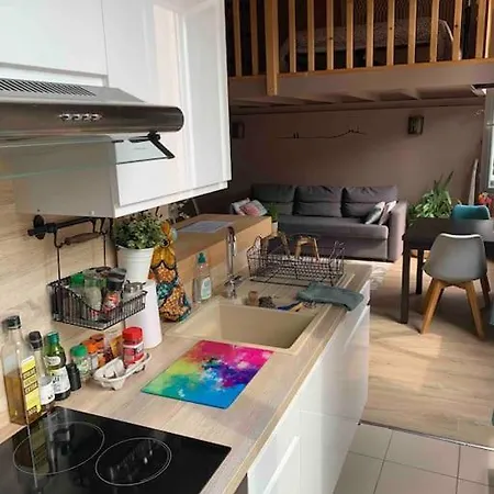 Apartament Croix Rousse Canut Lyon